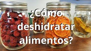 ¿Cómo deshidratar alimentos [upl. by Llednyl]