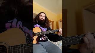 Tetrachromacy King Gizzard guitar cover acoustic guitarcover psychodelicrock shorts love [upl. by Gent]