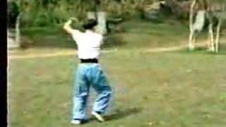 Sifu Li Fan Fung Performs Shaolin Tiger Crane [upl. by Boucher]