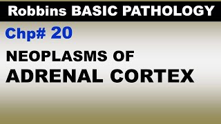 Ch20  Tumours of Adrenal Cortex  Endocrine Pathology  Dr Asif Lectures [upl. by Henig766]