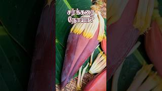 வாழைப்பூ Valai poo Banana Flower Benefits shorts health banana flowers diabetes [upl. by Beuthel372]