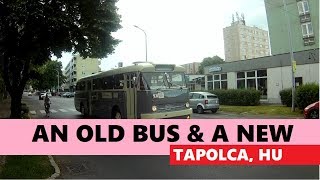 The legendary Ikarus 66 meets a modern bus on the street [upl. by Samau]