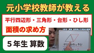 小５算数【四角形と三角形の面積】平行四辺形・三角形・台形・ひし形の面積の求め方 小学生の算数の勉強 [upl. by Ellecram]