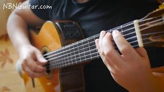 Waltz in E minor  Ferdinando Carulli  NBN Guitar [upl. by Merriott]