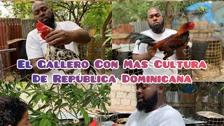 El Gallero Con Mas Cultura En la República Dominicana Pedro Hernández Mejor Conocido Como Pedrito [upl. by Ayot]