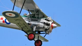 GIANT HALF SCALE RC BRISTOL BULLDOG  425 cc AT LMA RAF ELVINGTON MODEL AIRCRAFT SHOW  2014 [upl. by Aseret821]