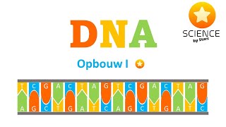 DNA opbouw 1 [upl. by Liddie]