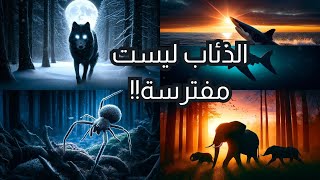 أساطير وحقائق الوجه الحقيقي للحياة البرية [upl. by Ttehr986]