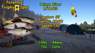 Russian Fishing 4 Belaya Active Spots Spiker 2 018 11823 [upl. by Esaertal]