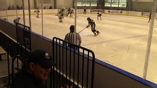 Rochester Coalition vs Oakland Jr Grizzlies Gold 13U  LECOM Harborcenter November 9th 2024 [upl. by Ris]