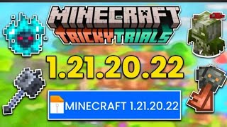 MINECRAFT 1212022 VERSION IS FINALLY HERE [upl. by Byrd]