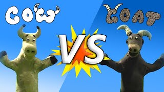 Cow vs Goat Claymation [upl. by Surovy594]