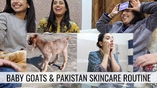 Family Fun Baby Goats amp Skincare Routine  PAKISTAN VLOG [upl. by Dorraj]