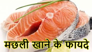 मछली खाने के फायदे  The AMAZING Benifit Of Eating Fish  Fish khane ke laabh [upl. by Baumann662]