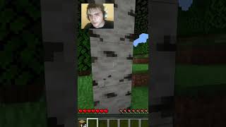 Minecraft Iron speedrun but I cant touch the color greyminecraftfunny minecraft shorts funny [upl. by Lexis]