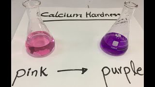 Calcium Hardness experiment [upl. by Annael]