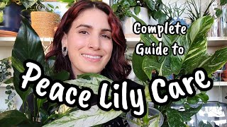 VARIEGATED PEACE LILY CARE 🌿 a complete guide to caring for your Spathiphyllum plants 💕 [upl. by Anaitit]