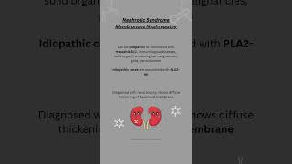 Nephrotic syndrome Membranous Nephropathy [upl. by Hercules]