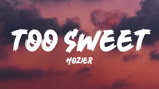 Hozier  Too Sweet Lyrics [upl. by Anial]