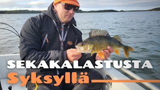 Syksyn sekakalastusta merellä  Ahvenen jigausta ja hauen heittokalastusta [upl. by Messab420]