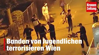 Banden von Jugendlichen terrorisieren Wien  kronetv NEWS [upl. by Nabi734]