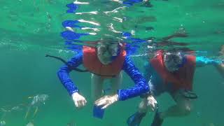 Snorkeling Lovers Beach in Cabo San Lucas Mexico [upl. by Ztnarf]