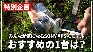 【保存版】結局どれを買えばいいの？SONY おすすめAPSCモデルを一挙にご紹介！ [upl. by Nob]