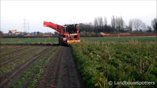 Grimme Varitron 270 Wortels rooien 2013 [upl. by Rourke]