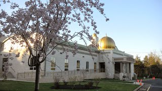 LIVE  MasjideAli  Shahadat Majlis for Hazrat Fatima Zahra s  Maulana Syed Rizwan Rizvi [upl. by Monto928]