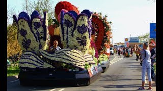 BLOEMENCORSO Bollenstreek 2104 2018 Dutch flower pageant  parade [upl. by Edahs]