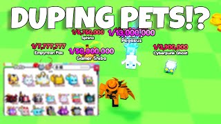 How To Dupe And Equip Extra Pets In PETS GO [upl. by Naerad46]