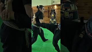 O segredo Ninja revelado🥷🫡 escoladeninjas ninjutsu ninja kotatsudojo bujinkan faixapreta [upl. by Aila962]