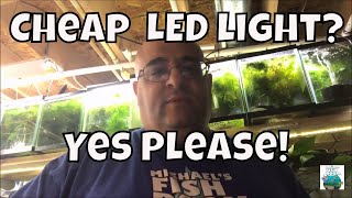 Cheap LED Shop Light 4 ft LED Shop Light for a low tech fish tank Aquarium Fishroom VLOG [upl. by Cawley]