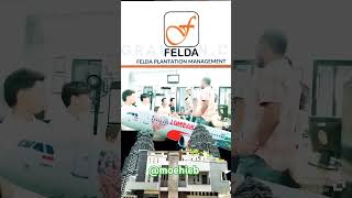 Felda Plantation Management indonesiadanmalaysia bekerjadimalaysia shorts [upl. by Inama]