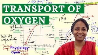 Oxygen transport Oxygen dissociation curve Bohr effect Respiratory syste physiology mbbs 1st year [upl. by Maurer504]