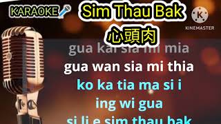 Sim Thau Bak 心頭肉  HOKKIAN 蔡義德 hokkien novocal karaoke lyrics by phinyin Male keys [upl. by Ellehcear781]