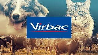 VIRBAC  Video Corporativo 2019 [upl. by Agosto]