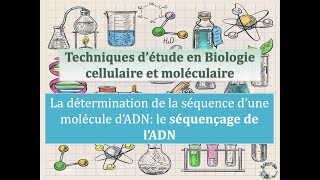 Fiches techniques  Le séquençage de lADN [upl. by Jacobsohn165]