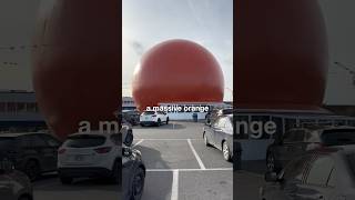 What is this MASSIVE orange in Montreal 🍊orangejulep montreal [upl. by Maryanne566]