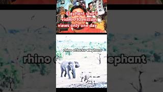 Elephant vs Rhino 10 million views only 5 mints elephant vs rhino real fight 🤛🤛🤛🤛 views shorts [upl. by Cristine485]