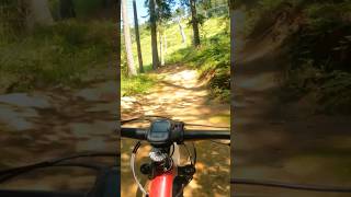 bikepark poianabrasov downhill [upl. by Frodi]