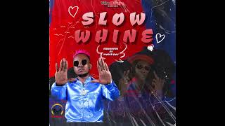 Mbokothostarmboks  Slow Whine ft Worldboy Official Audio [upl. by Streeto]