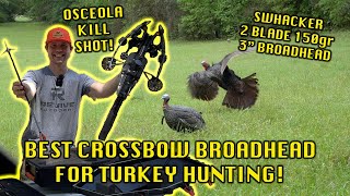 BEST CROSSBOW BROADHEAD FOR TURKEY HUNTING  SWHACKER BROADHEADS TEST  CROSSBOW TURKEY HUNTING [upl. by Ahseinek]