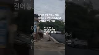 중국 청도 청양구 늘 퇴근길에 지나가보기만 하는데 한번 걸어서 둘러보고 싶은 마을 [upl. by Enitsahc]