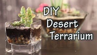 DIY Tutorial On How To Make A Terrarium with Cacti and Desert Plants [upl. by Aiza]