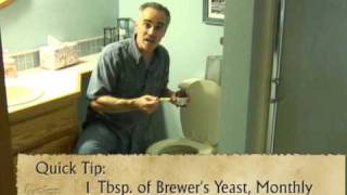 Yeast in Your Toilet [upl. by Ettelrats]