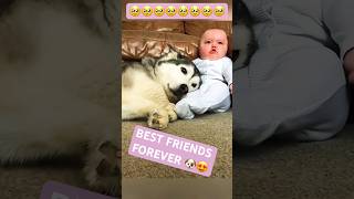 😍Dogs love children ❤️🐶 doglover dog dogs doglovers shortsvideo short fypシ゚viral [upl. by Jim660]