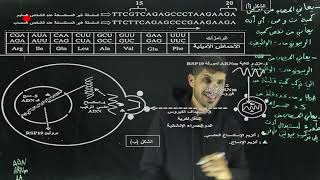 ثالثة ثانوي تمرين تركيب البروتين 😏 [upl. by Ainahs358]