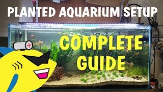 PLANTED AQUARIUM SETUP Complete Guide To A Soil Planted Tank [upl. by Eolanda]