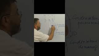 branchement condensateur de démarrage moteur triphase en monophasé voir vidéo 253 [upl. by Ahsirahc]